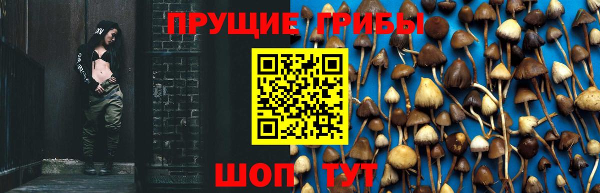 Псилоцибиновые грибы MAGIC MUSHROOMS Котовск